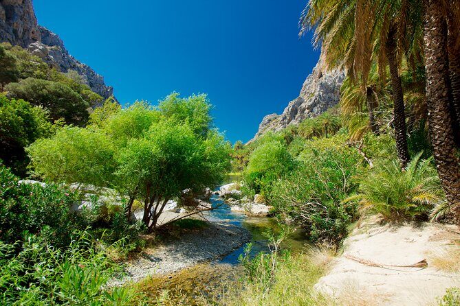 Preveli Beach & Palm Forest :Full-Day Tour with Lunch Box - Lunch box and snacks: small details that make the day easier