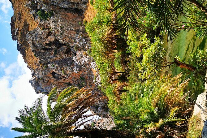 Preveli Beach & Palm Forest :Full-Day Tour with Lunch Box - The 20-minute step descent (and the climb back) is the real challenge