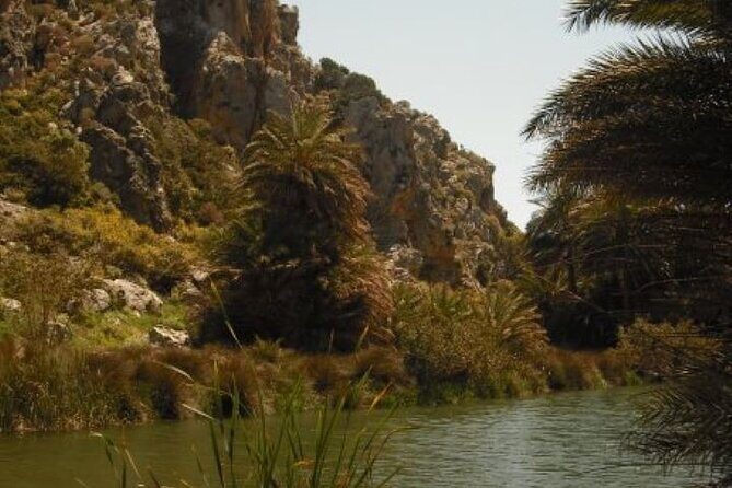 Preveli palm Beach & Damnoni Excursion - Price and value: $36.12 covers the day’s core transport, not the boat add-ons