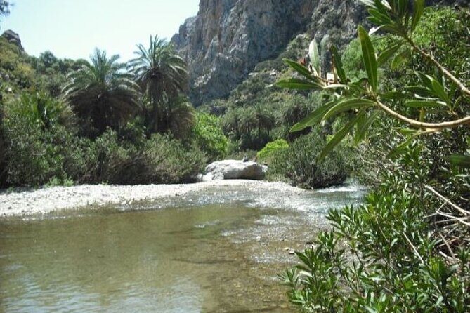 Preveli palm Beach & Damnoni Excursion - Group size up to 50: calm enough for a relaxed beach rhythm