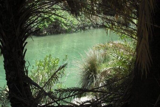 Preveli palm Beach & Damnoni Excursion - Preveli Palm Beach: palms, a river walk, and about 3 hours to slow down