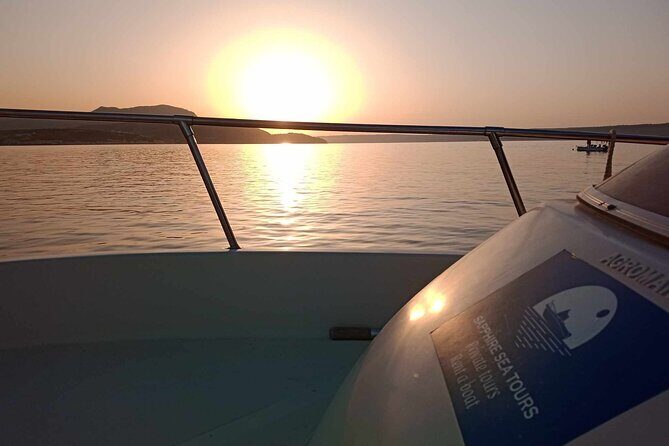 Private Boat Tours in Kalyves and East Coast - Wildlife Moments: Octopus Is the One to Watch For