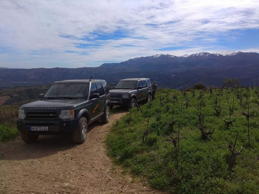 Private Exclusive Manousakis Winery and Vineyard Tour - Key highlights you’ll actually care about