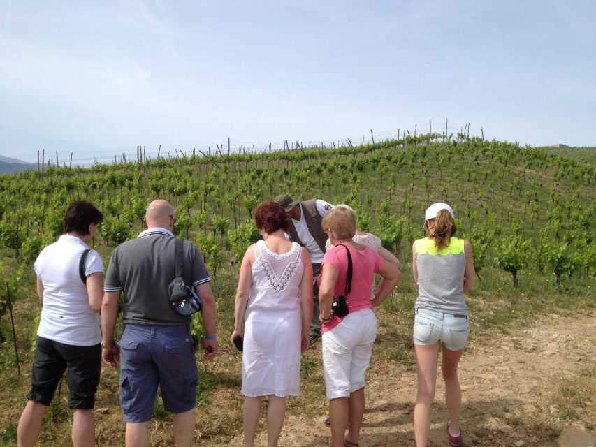 Private Exclusive Manousakis Winery and Vineyard Tour - Should you book this Manousakis winery and vineyard tour?