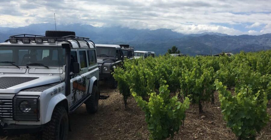 Private Exclusive Manousakis Winery and Vineyard Tour - Private 4x4 to Manousakis: the value of doing this in your own vehicle