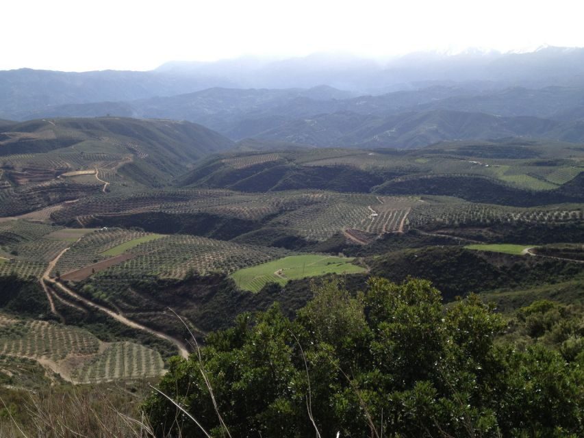 Private Exclusive Manousakis Winery and Vineyard Tour - The off-road Vatolakkos Hills route: panoramic views and a real climb