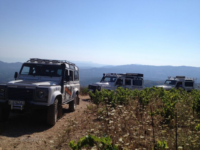 Private Exclusive Manousakis Winery and Vineyard Tour - Lunch with authentic Cretan flavors and two glasses included