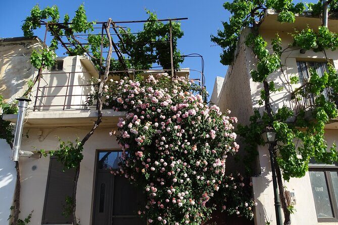 Private Guided Tour to Lasithi Plateau Villages & Olive Oil Mill - Lasithi Plateau in one day: what makes it feel special