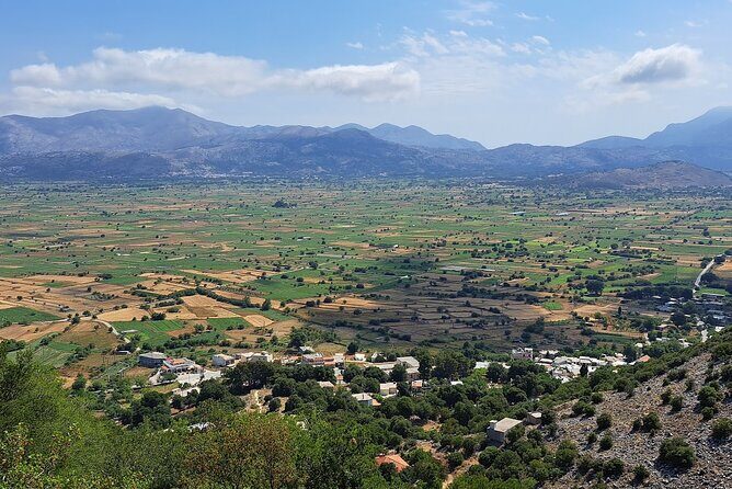 Private Guided Tour to Lasithi Plateau Villages & Olive Oil Mill - Stop 1: Omalia Olive Press and why the tasting matters