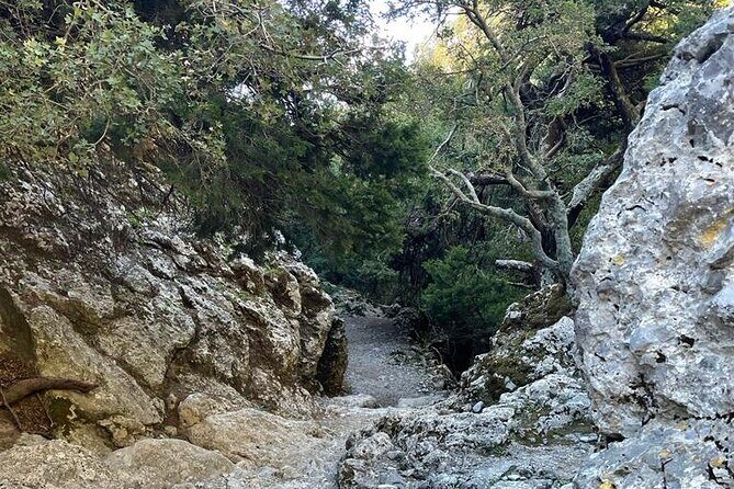Private Hiking Tour in Imbros Gorge (Chania) - Logistics That Can Matter: Pickup at the End and Weather