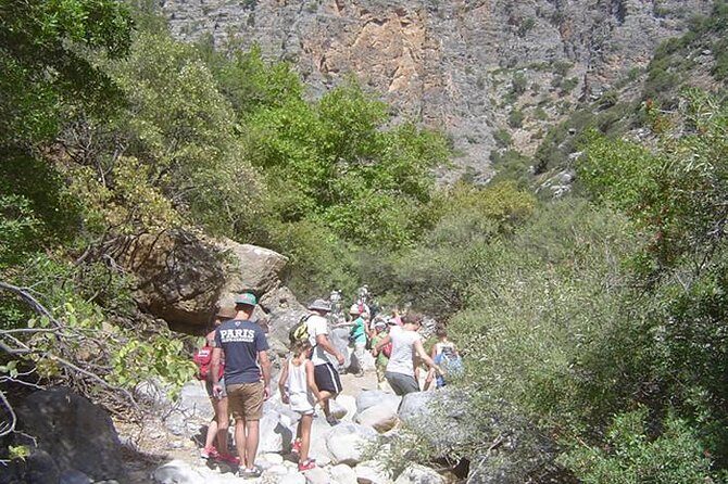 PRIVATE Hiking Walking GORGE nearby Hersonissos CRETE - Wildlife and Plant Talk: What Your Guide Points Out