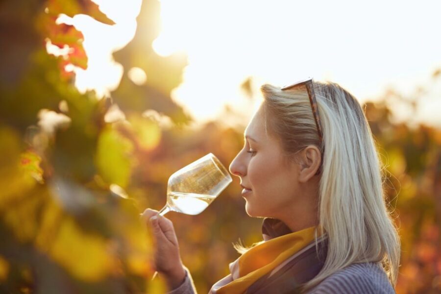 Private Knossos Skip The Line Tour inc. lunch & wine tasting - Key Highlights at a Glance