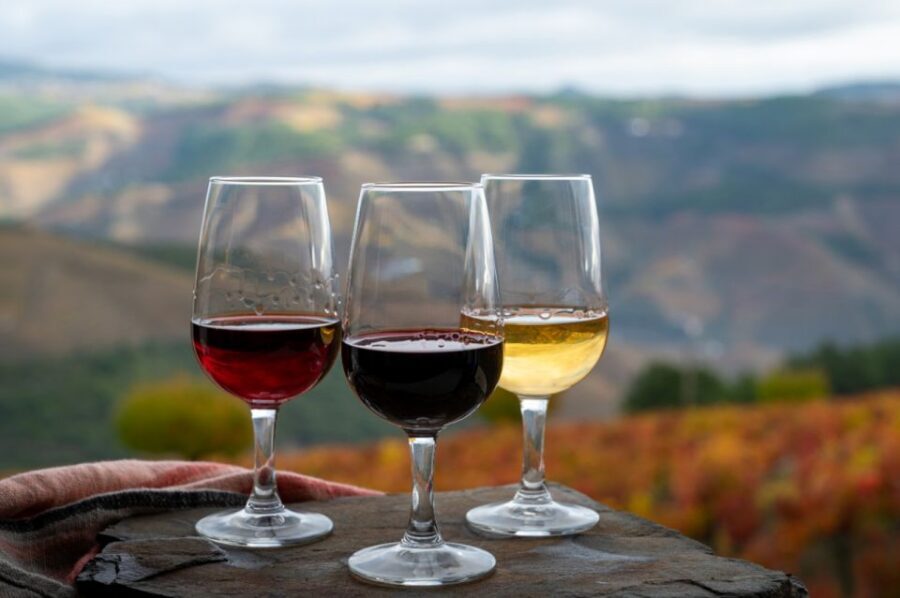 Private Knossos Skip The Line Tour inc. lunch & wine tasting - Lunch in Archanes Style: Mezze, Taverna Atmosphere, and Home-Grown Flavor