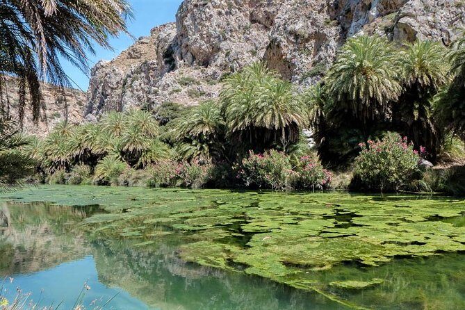 Private Tour Rethymno: Spili, Preveli, Kourtaliotiko, Old Town - Preveli Palm Forest and Damnoni Beach for photos and swimming breaks