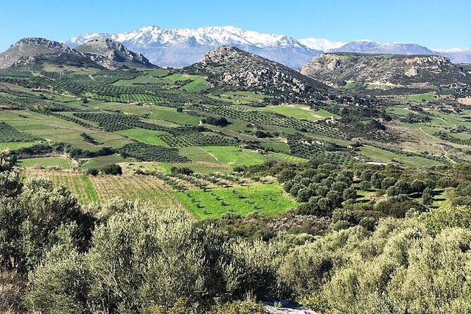 Private Tour: Soap, Olive Oil & Lyrarakis Winery with Lunch - Inside the Tasting: House Wines, Olive Oils, and Cheese With a Sommelier