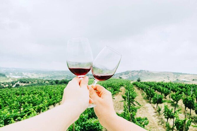 Private Tour: Soap, Olive Oil & Lyrarakis Winery with Lunch - Price and Value at $216.27: When It Feels Fair and When It Doesn’t