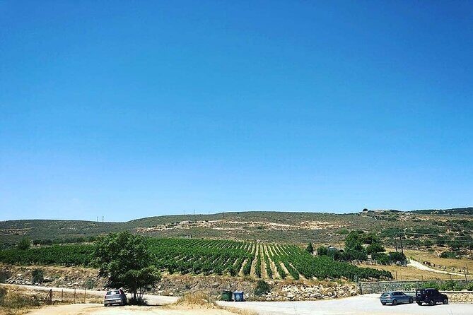 Private Tour: Soap, Olive Oil & Lyrarakis Winery with Lunch - Who This Tour Suits Best (and Who Should Consider Alternatives)