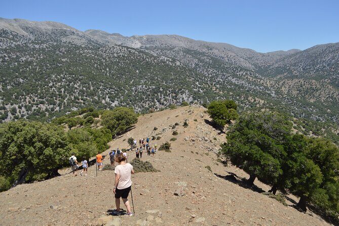 Private Trekking Rouvas Gorge - Stop 2: Rouvas Forest After About 2 Hours and ~5 km