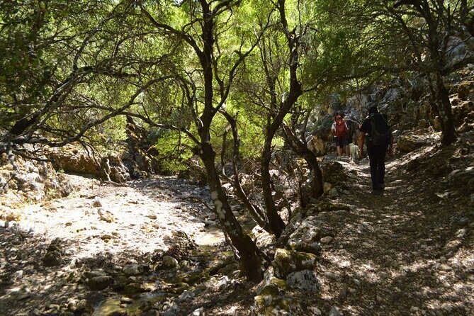 Private Trekking Rouvas Gorge - Stop 3: Rouvas Gorge (Agiou Nikolaou)—Water, Falls, and Small Ponds
