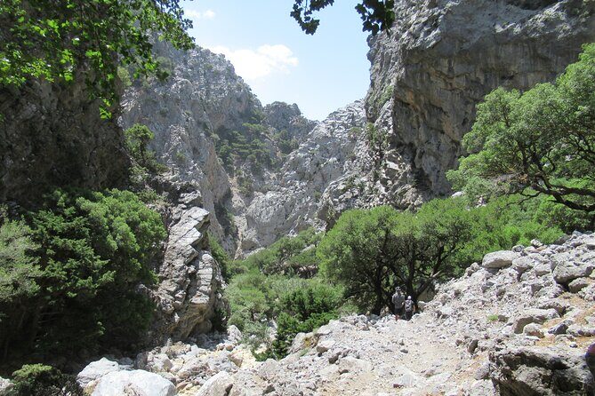Private Trekking Rouvas Gorge - Ai Giannis Picnic Area Break: Shelter, Toilets, Benches, and a Spring