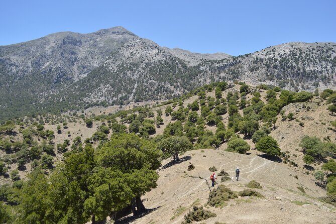 Private Trekking Rouvas Gorge - The Turning Point: Dyo Prini Viewpoint vs. Returning to the Lake