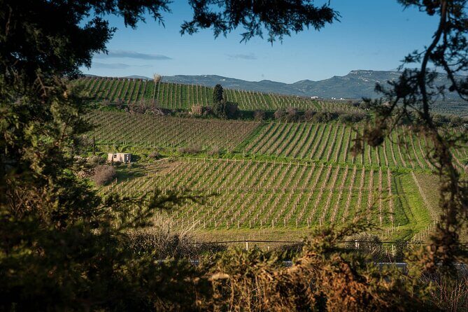 Private Wine Tour at Peza Valley - 2 Wineries and Lunch at Peza - Stop 2: Lyrarakis Winery and Family Craft in the Alagni Area