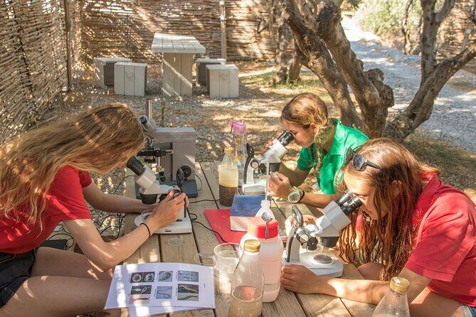 Research diving with a Marine Biologist in Crete - Souda Beach: Why the First Location Matters