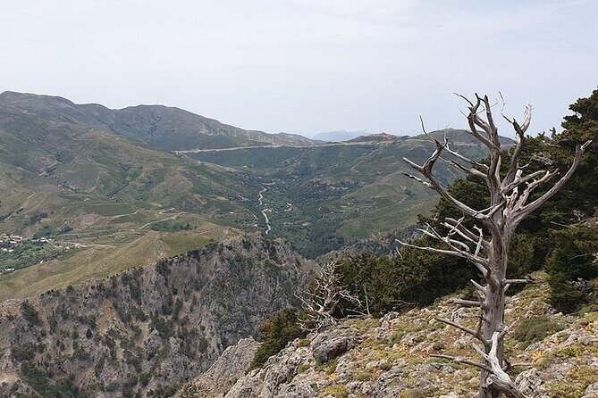 Rethymno Tour - VIP Private Tour - Your guide can make it fun, not just scenic