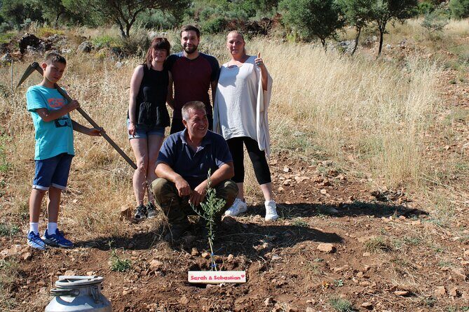 Rethymnon Olive Tree Sponsorship Protect and Plant Tour - Meet Up in Rethymno: Getting to the Grove Without Stress