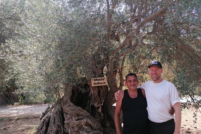 Rethymnon Olive Tree Sponsorship Protect and Plant Tour - At the Sponsorship Tree: Name Tags, Photos, and a Toast You Can Actually Remember