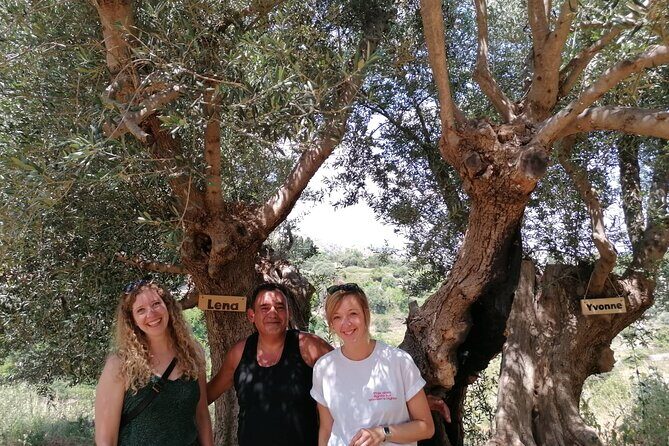 Rethymnon Olive Tree Sponsorship Protect and Plant Tour - What Your Sponsorship Includes: More Than a Certificate