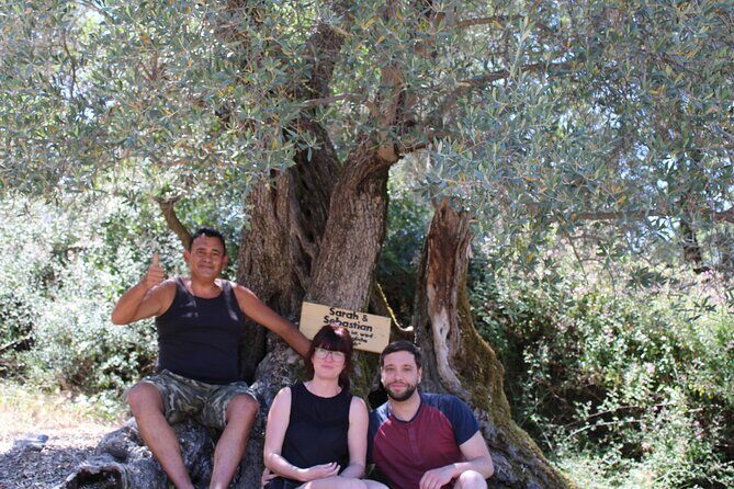 Rethymnon Olive Tree Sponsorship Protect and Plant Tour - Price and Value: Is $141.78 Worth It?
