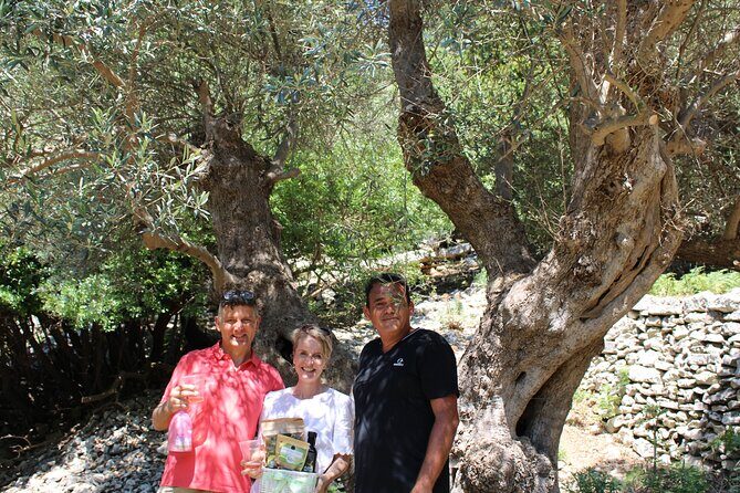 Rethymnon Olive Tree Sponsorship Protect and Plant Tour - If You Want More: Planting an Olive Tree with the Cretan Lazarus Project