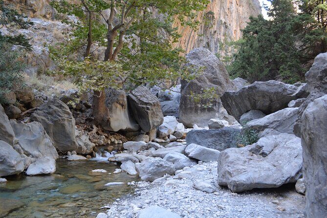 Samaria Gorge Hiking Tour from Chania with Professional Guide - The Gorge Hike Itself: How Guides Keep You Safe and Moving