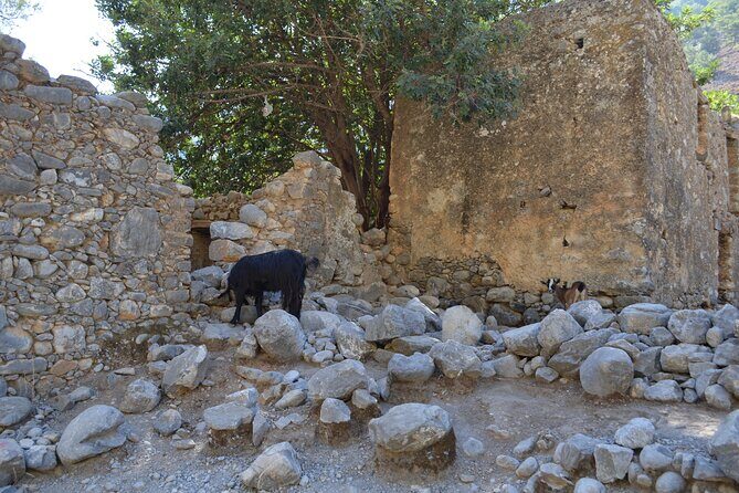 Samaria Gorge Hiking Tour from Chania with Professional Guide - Stop at Agia Roumeli: Swim Time, Ferry Tickets, and a Cretan Reset