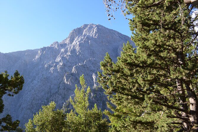Samaria Gorge Hiking Tour from Chania with Professional Guide - Sougia Beach After the Ferry: A Quiet Coast Break