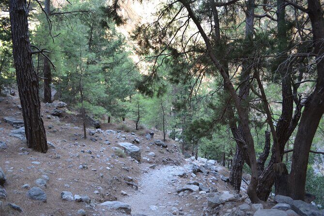 Samaria Gorge Hiking Tour from Chania with Professional Guide - Transfers, Timing, and Avoiding the Common Hassles