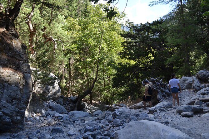 Samaria Gorge Hiking Tour from Chania with Professional Guide - What to Pack for a Downhill That Can Beat Your Knees