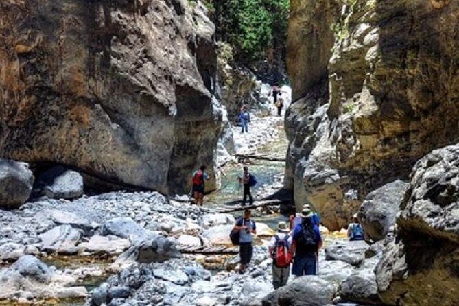 Samaria Gorge Tour from Chania - The Longest Gorge in Europe - The morning drive from Chania: early start, easier nerves