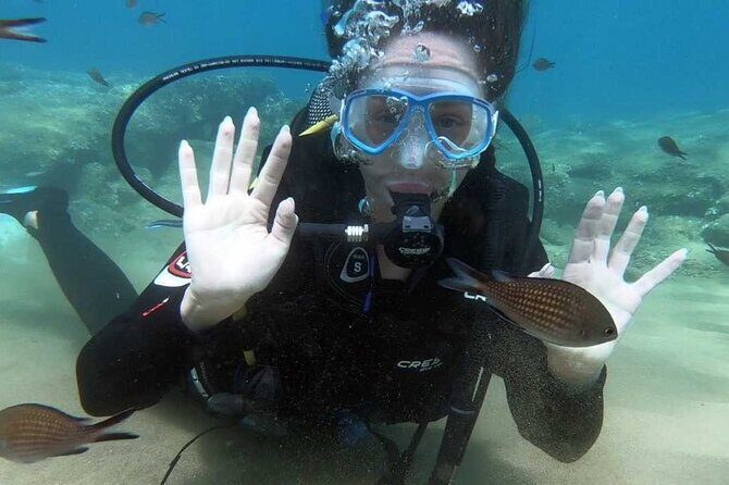 Scuba Diving for Beginners with a PADI Instructor near Heraklion - Timing: A 6-Hour Plan That Still Leaves Your Afternoon Breathing Easy