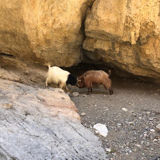 Self-Drive 4X4 Jeep Safari - South Crete Swimming & Canyons - Pottery workshop: a real Crete moment, not just a stop