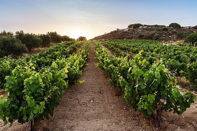 Semi Private Wine Tour of 2 wineries with Transfer and Lunch - A 5–6 hour plan that blends culture with wine