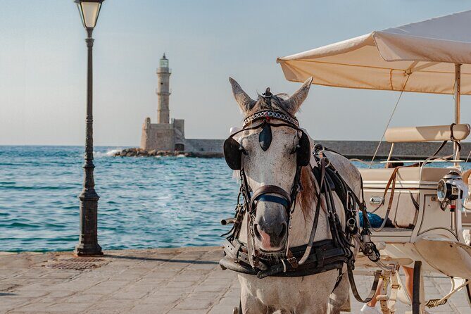 Shore Explore Chania: City Charm, Beach, Monastery & Winetasting - Should You Book This Chania City Charm, Beach, Monastery & Winetasting Tour?