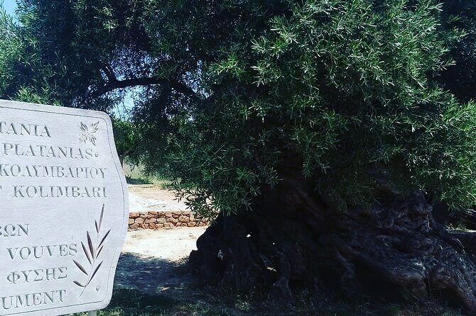 Sips of Crete: Flavors, Legends & Hidden Gems - Why this Sips of Crete tour works for a full day in Chania