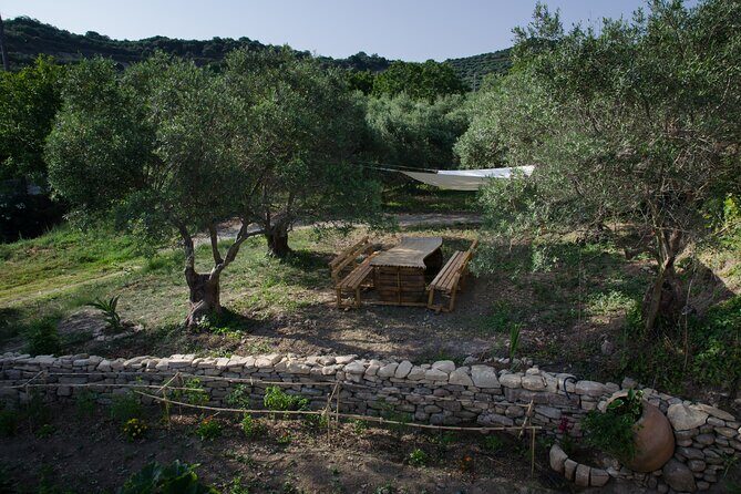 Small-Group Wine Tasting Activity in West Chania - Small-Group Wine Tasting in West Chania: What You’re Really Buying