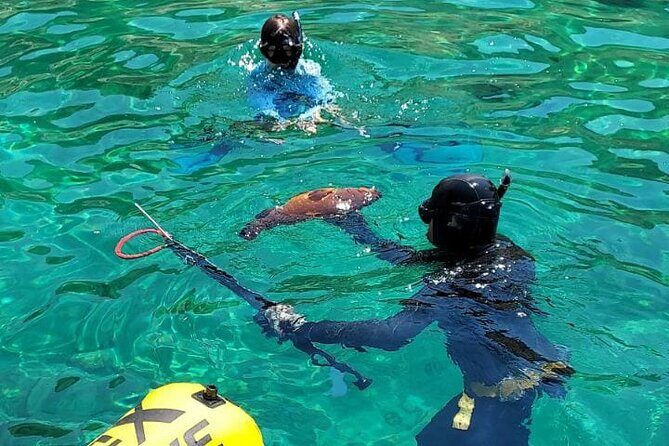 Spearfishing in Chania, Crete (price is per group) - Key highlights worth knowing
