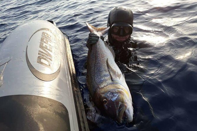 Spearfishing in Chania, Crete (price is per group) - Price Check: Is $780.99 per Group Fair?