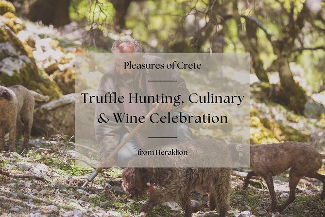 Truffle Hunting, Culinary & Wine Celebration from Heraklion - From Heraklion to truffle country: why this day feels different