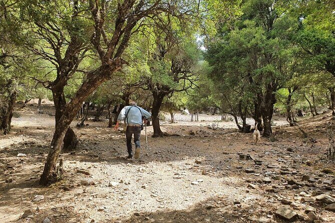 Truffle Hunting, Culinary & Wine Celebration from Heraklion - The private chauffeur and flexible pickup that make it easier