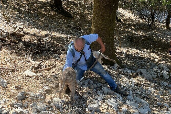 Truffle Hunting, Culinary & Wine Celebration from Heraklion - Cave of Zeus and Panagia Kera Kardiotissa: walking Minoan footsteps
